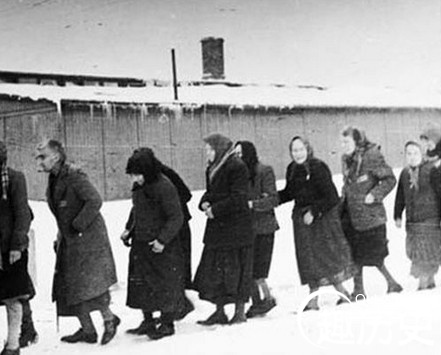 纳粹集中营里的女人们!虐囚手段令人震惊(图)