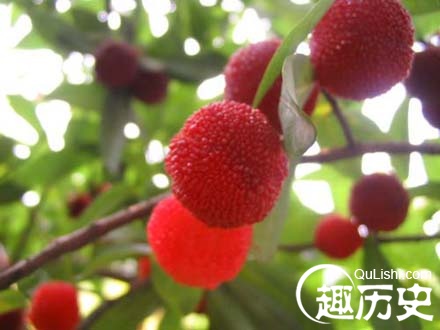 望梅止渴的主人公是谁?望梅止渴的故事典故